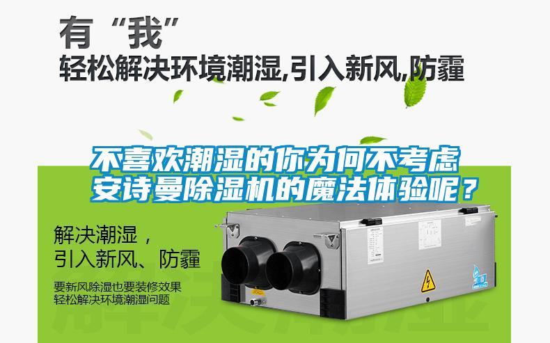 不喜歡潮濕的你為何不考慮91免费看片APP91看片在线下载機的魔法體驗呢？