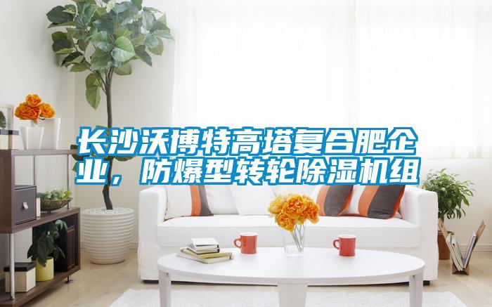 長沙沃博特高塔複合肥企業，防爆型轉輪91看片在线下载機組