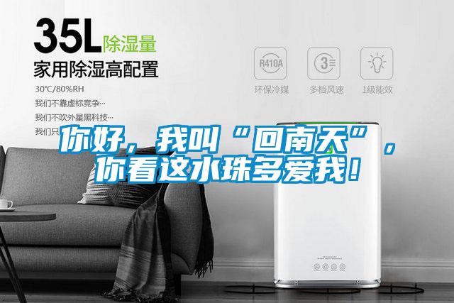 你好，我叫“回南天”，你看這水珠多愛我！