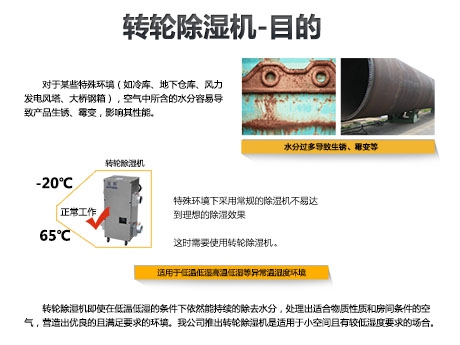 貓糧防潮秘籍，貓糧如何儲存