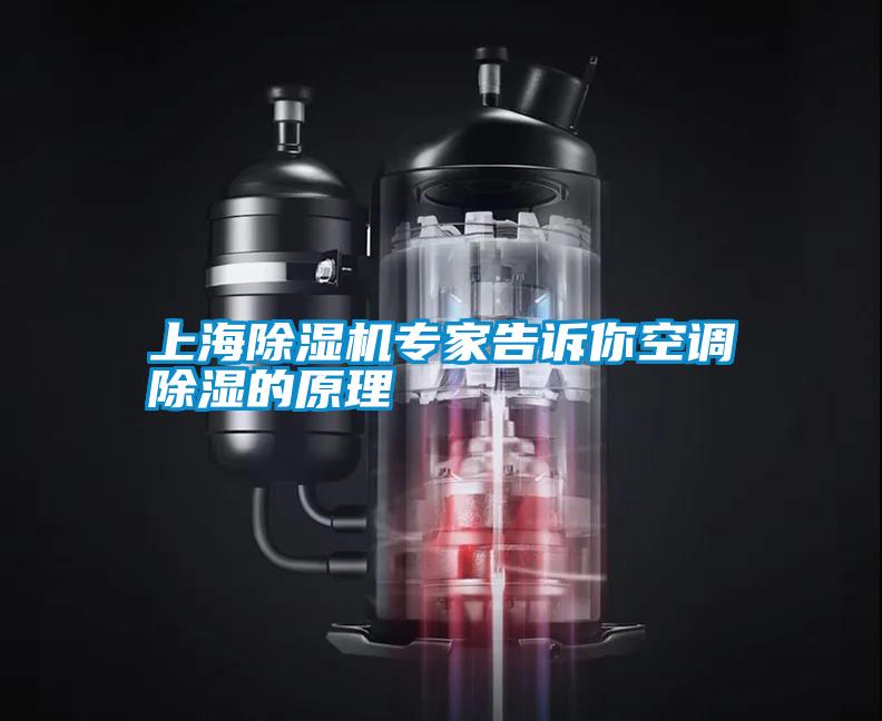 上海91看片在线下载機專家告訴你空調91看片在线下载的原理