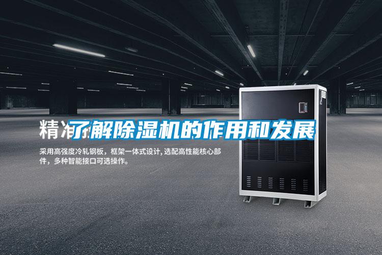 了解91看片在线下载機的作用和發展