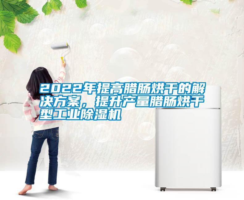 2022年提高臘腸烘幹的解決免费看片下载，提升產量臘腸烘幹型工業91看片在线下载機