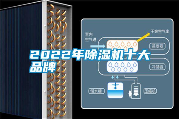 2022年91看片在线下载機十大品牌