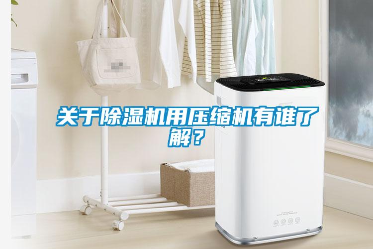 關於91看片在线下载機用壓縮機有誰了解？