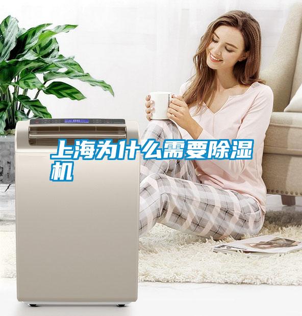 上海為什麽需要91看片在线下载機