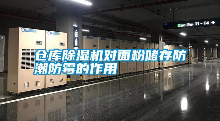 倉庫91看片在线下载機對麵粉儲存防潮防黴的作用