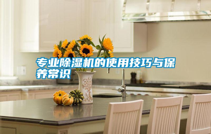 專業91看片在线下载機的使用技巧與保養常識