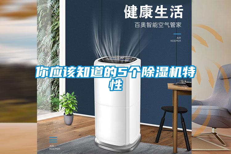 你應該知道的5個91看片在线下载機特性