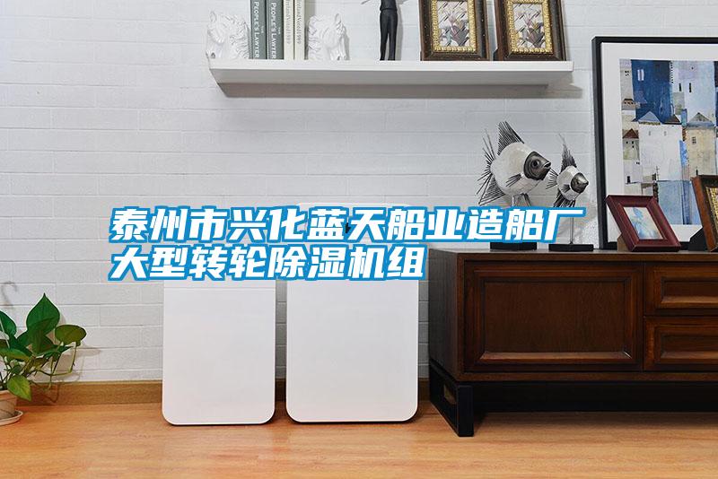 泰州市興化藍天船業造船廠 大型轉輪91看片在线下载機組