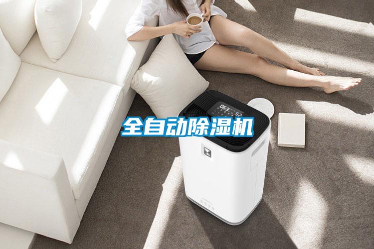 全自動91看片在线下载機