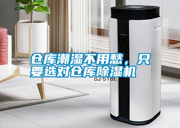 倉庫潮濕不用愁，隻要選對倉庫91看片在线下载機