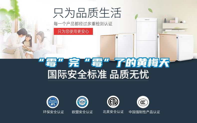 “黴”完“黴”了的黃梅天