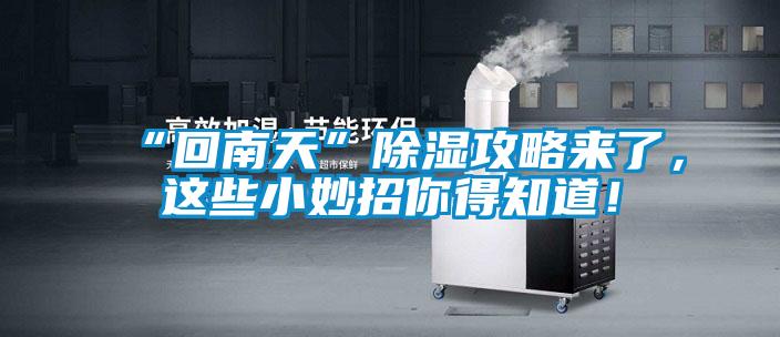 “回南天”91看片在线下载攻略來了，這些小妙招你得知道！