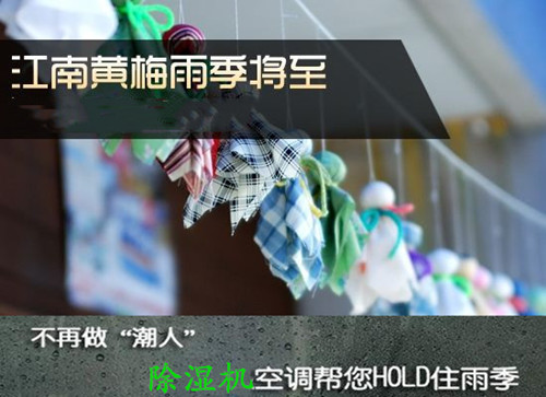 防潮91看片在线下载機
