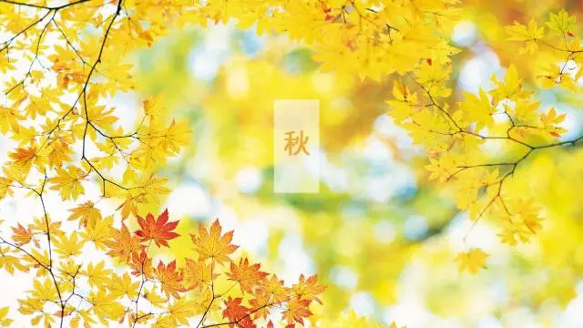 知識百科一定要91看片在线下载的10大領域