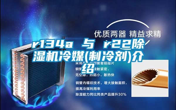 r134a 與 r2291看片在线下载機冷媒(製冷劑)介紹