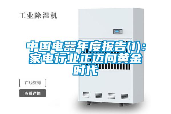中國電器年度報告(1)：家電行業正邁向黃金時代