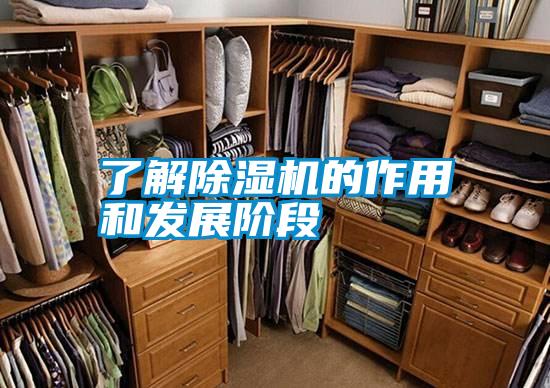 了解91看片在线下载機的作用和發展階段