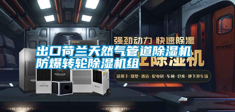出口荷蘭天然氣管道91看片在线下载機 防爆轉輪91看片在线下载機組