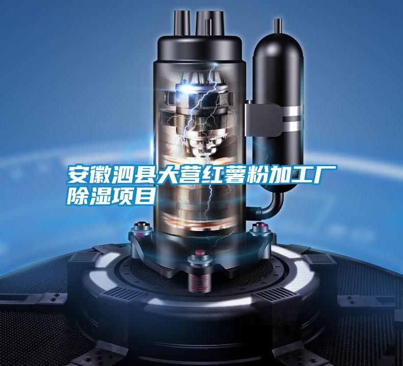 安徽泗縣大營紅薯粉加工廠91看片在线下载項目