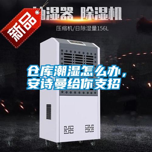 倉庫潮濕怎麽辦，91免费看片APP給你支招