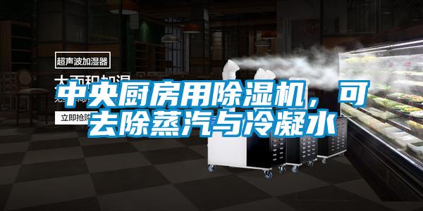 中央廚房用91看片在线下载機，可去除蒸汽與冷凝水