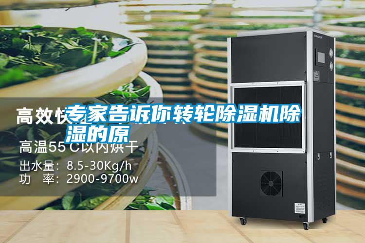 專家告訴你轉輪91看片在线下载機91看片在线下载的原