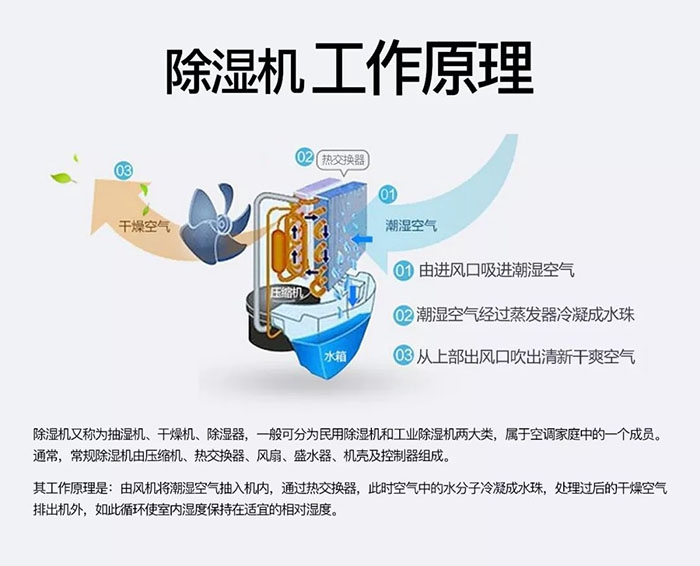 對抗梅雨天，絕不認輸！