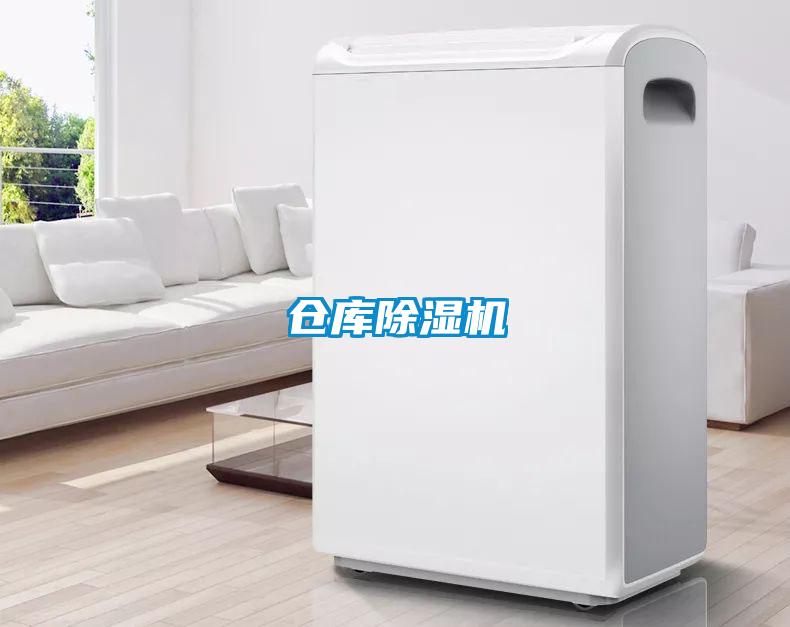 倉庫91看片在线下载機