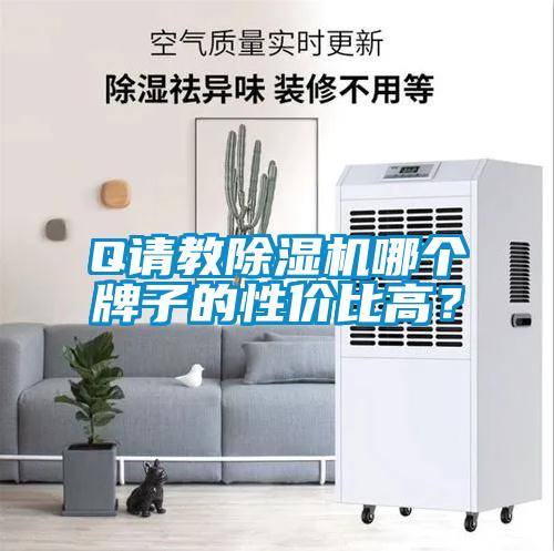 Q請教91看片在线下载機哪個牌子的性價比高？