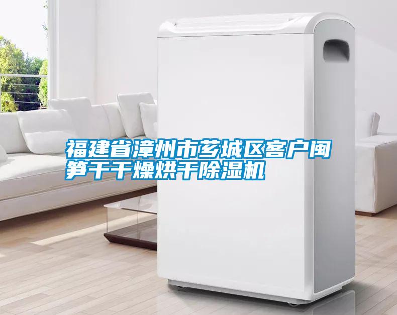 福建省漳州市薌城區客戶閩筍幹幹燥烘幹91看片在线下载機
