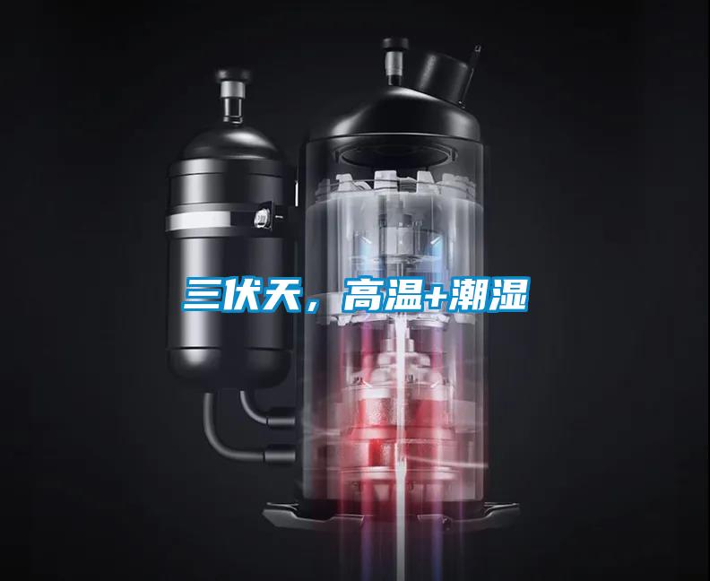 三伏天，高溫+潮濕