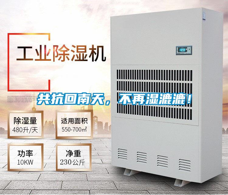 共抗回南天，不再濕漉漉！