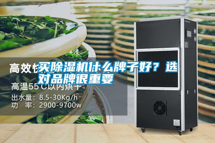 買91看片在线下载機什麽牌子好？選對品牌很重要