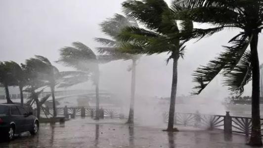 常見問題8月台風雨即將來，91看片在线下载機還得用起來