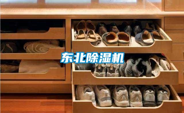 東北91看片在线下载機