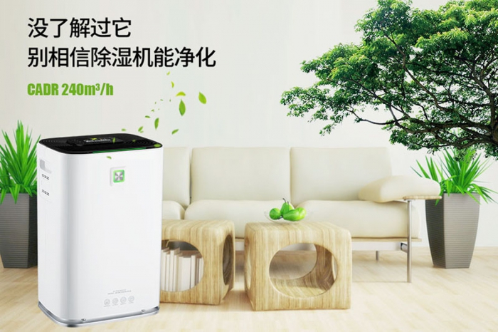 一到回南天狗狗就感冒+皮膚病，怎麽辦？