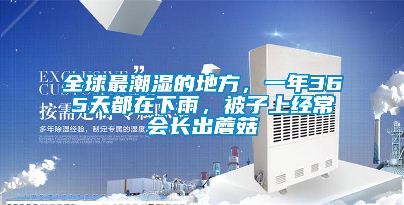 全球最潮濕的地方，一年365天都在下雨，被子上經常會長出蘑菇