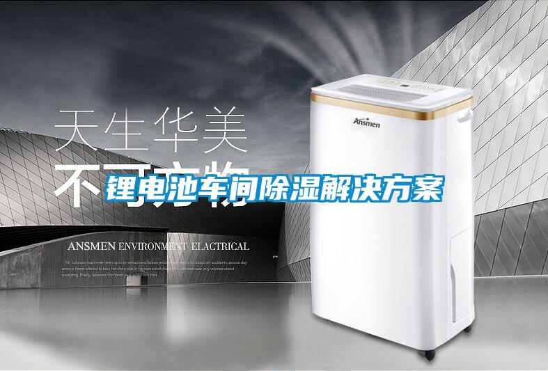 鋰電池車間91看片在线下载解決免费看片下载