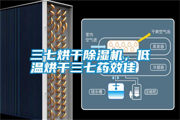 三七烘幹91看片在线下载機，低溫烘幹三七藥效佳