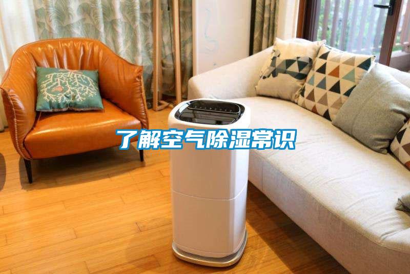 了解空氣91看片在线下载常識