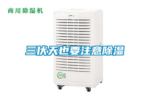 三伏天也要注意91看片在线下载