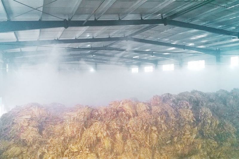 提升煙葉加工質量，高效回潮很重要