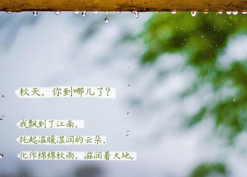 “無晴”陰雨天 “有晴”91看片在线下载機