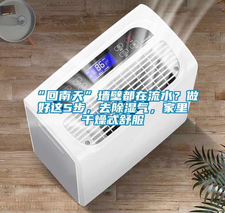 “回南天”牆壁都在流水？做好這5步，去91看片在线下载氣，家裏幹燥忒舒服