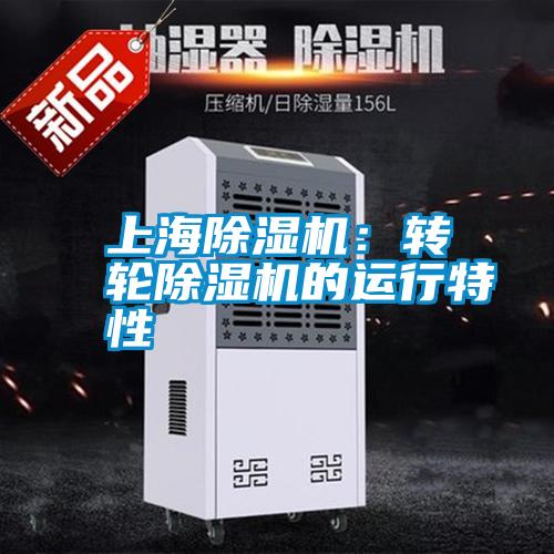 上海91看片在线下载機：轉輪91看片在线下载機的運行特性