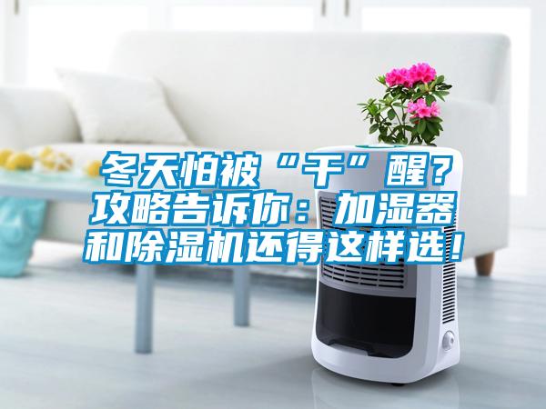 冬天怕被“幹”醒？攻略告訴你：加濕器和91看片在线下载機還得這樣選！