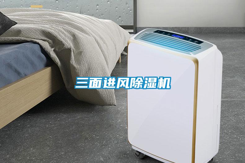 三麵進風91看片在线下载機