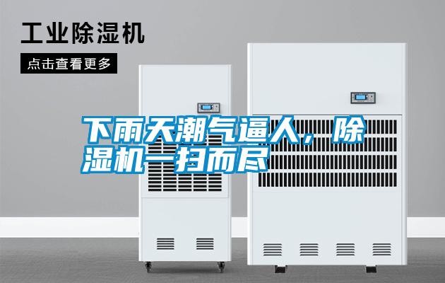 下雨天潮氣逼人，91看片在线下载機一掃而盡